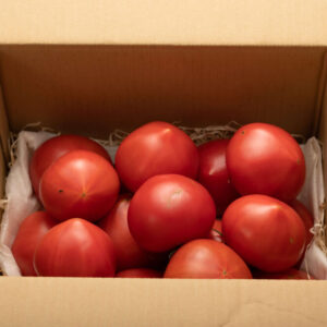 tomato004